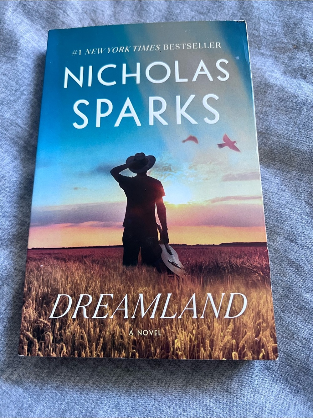 Nicholas Sparks "Dreamland" Paperback - Novel